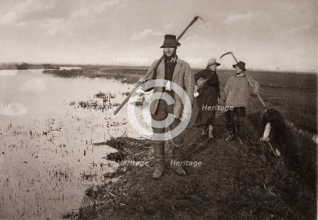 Coming Home from the Marshes, 1886. Creator: Peter Henry Emerson.