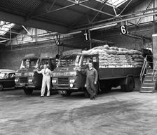 Commer Lorries at Spillers Foods Ltd, Gainsborough, Lincolnshire, 1962. Creator: Michael Walters
