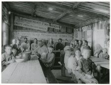 Communist collectivization of agriculture, USSR, early 1930s