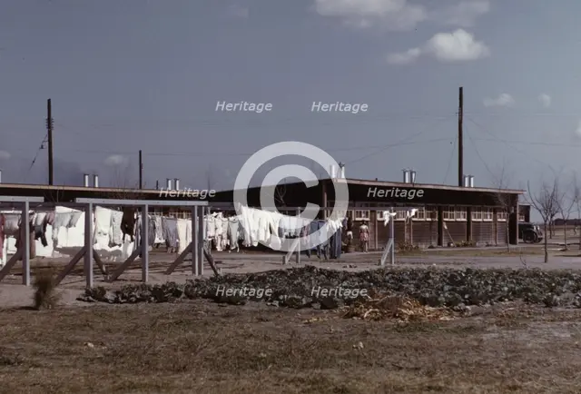 Community clothesline, FSA ... camp, Robstown, Tex., 1942. Creator: Arthur Rothstein.