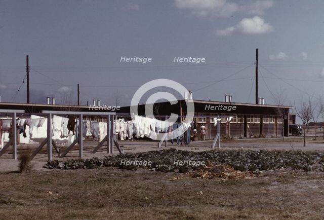 Community clothesline, FSA ... camp, Robstown, Tex., 1942. Creator: Arthur Rothstein.