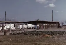 Community clothesline, FSA ... camp, Robstown, Tex., 1942. Creator: Arthur Rothstein