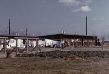 Community clothesline, FSA ... camp, Robstown, Tex., 1942. Creator: Arthur Rothstein