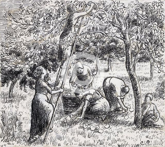 Compositional study of female peasants harvesting apples, 1845 - 1903. Creator: Camille Pissarro.