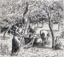 Compositional study of female peasants harvesting apples, 1845 - 1903. Creator: Camille Pissarro