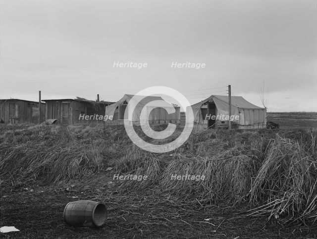 "Company" cotton pickers camp, after picking season, Buttonwillow, California, 1939. Creator: Dorothea Lange.