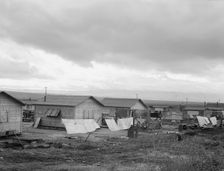 "Company" cotton pickers camp after picking season, Buttonwillow, California , 1939. Creator: Dorothea Lange