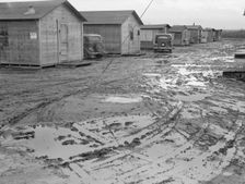 "Company" cotton pickers camp after picking season, Buttonwillow, California , 1939. Creator: Dorothea Lange
