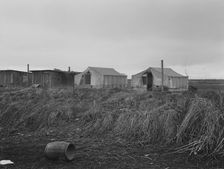 "Company" cotton pickers camp, after picking season, Buttonwillow, California, 1939. Creator: Dorothea Lange