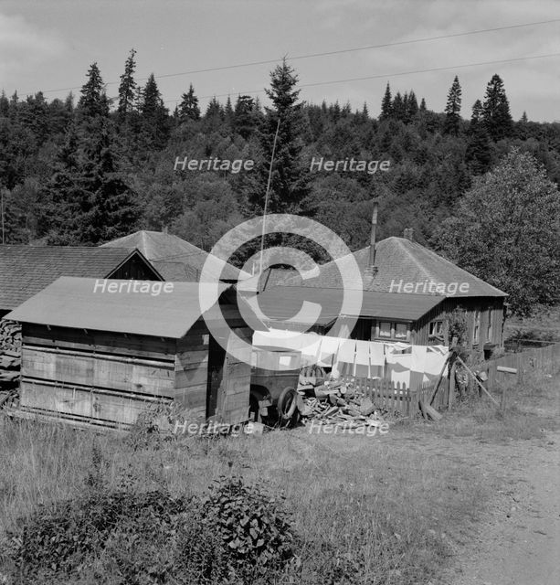 Company houses of closed mill..., Malone, Grays Harbor County, Western Washington, 1939. Creator: Dorothea Lange.