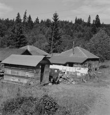 Company houses of closed mill..., Malone, Grays Harbor County, Western Washington, 1939. Creator: Dorothea Lange