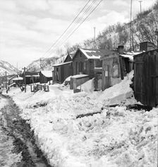 Company housing, Consumers, near Price, Utah, 1936. Creator: Dorothea Lange