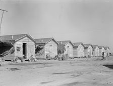 Company housing for cotton workers near Corcoran, California, 1936. Creator: Dorothea Lange