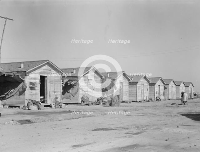 Company housing for cotton workers near Corcoran, California, 1936. Creator: Dorothea Lange.