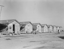 Company housing for cotton workers near Corcoran, California, 1936. Creator: Dorothea Lange