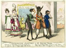 Comparative Anatomy, published December 10, 1818. Creator: Isaac Robert Cruikshank