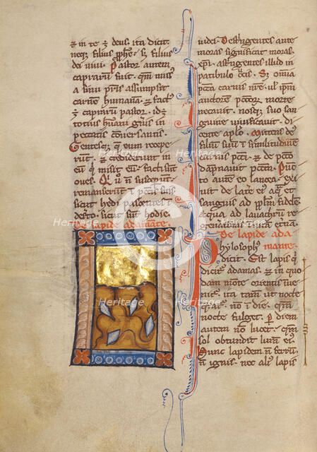 Concerning Diamonds; Bestiary, about 1270. Creator: Unknown.