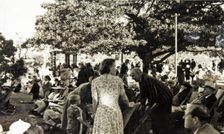 Concert at Balmoral, Mosman, c1930. Creator: Unknown