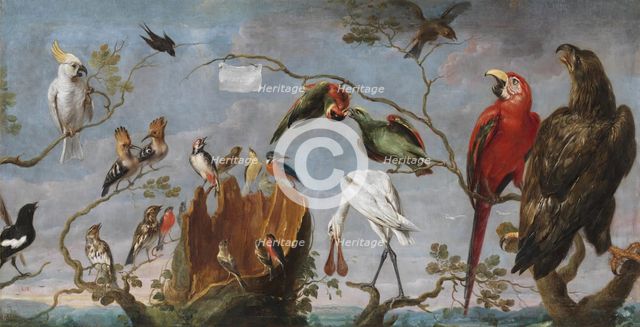 Concert of the Birds, first half of 17th century. Creator: Frans Snyders.
