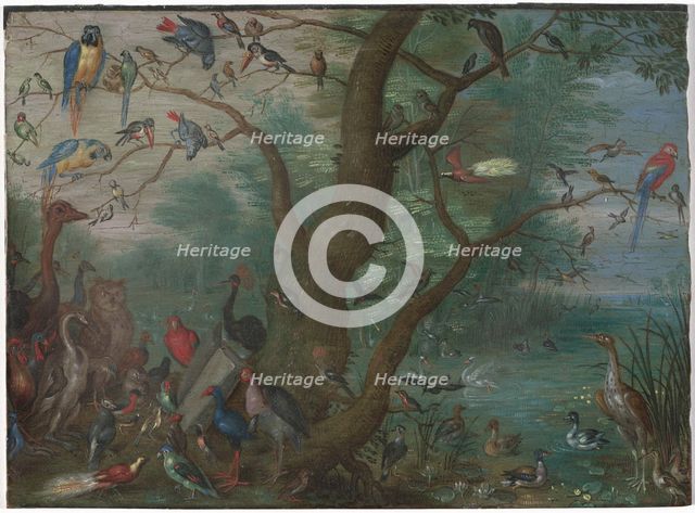 Concert of Birds, 1660/1670. Creator: Anon.