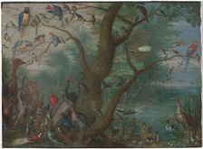 Concert of Birds, 1660/1670. Creator: Anon
