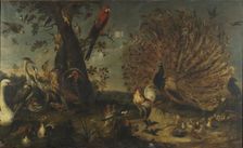 Concert of Birds, between 1629 and 1630. Creator: Frans Snyders
