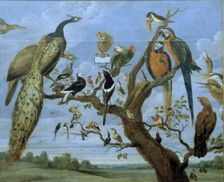 Concert of Birds oil Painting by Paul de Vos