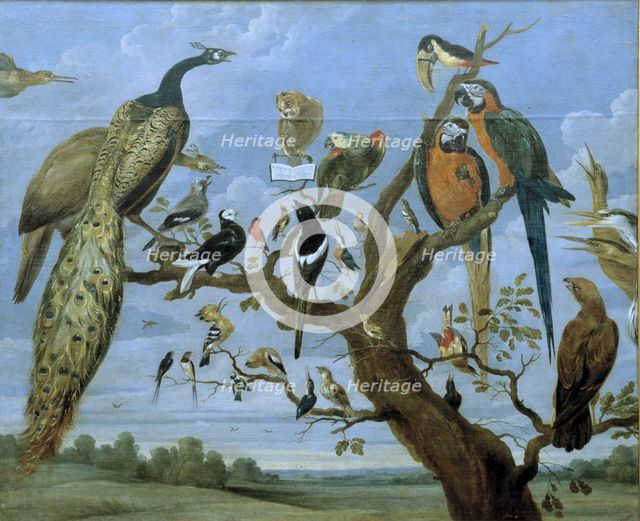  'Concert of Birds', oil Painting by Paul de Vos.