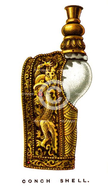 Conch Shell, 1923. Artist: Unknown