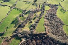Coney's Castle Iron Age hillfort, Dorset, 2019. Creator: Damian Grady
