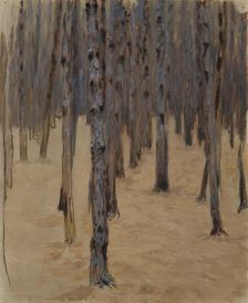 Coniferous forest in the snow, 1908. Creator: Koloman Moser
