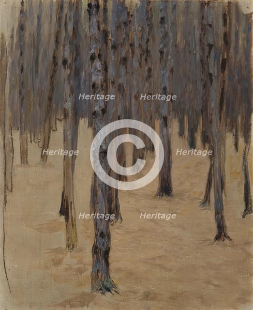 Coniferous forest in the snow, 1908. Creator: Koloman Moser.