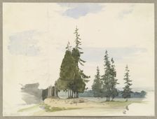 Conifers in a plain near Ilsenburg in the Harz Mountains, c1844. Creator: Carl Theodor Reiffenstein