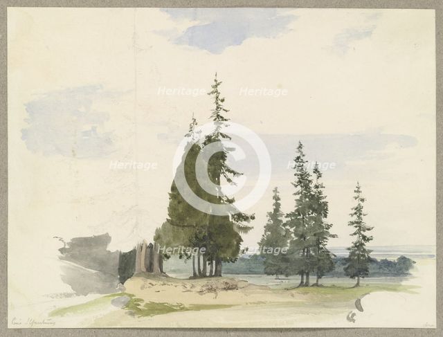 Conifers in a plain near Ilsenburg in the Harz Mountains, c1844. Creator: Carl Theodor Reiffenstein.