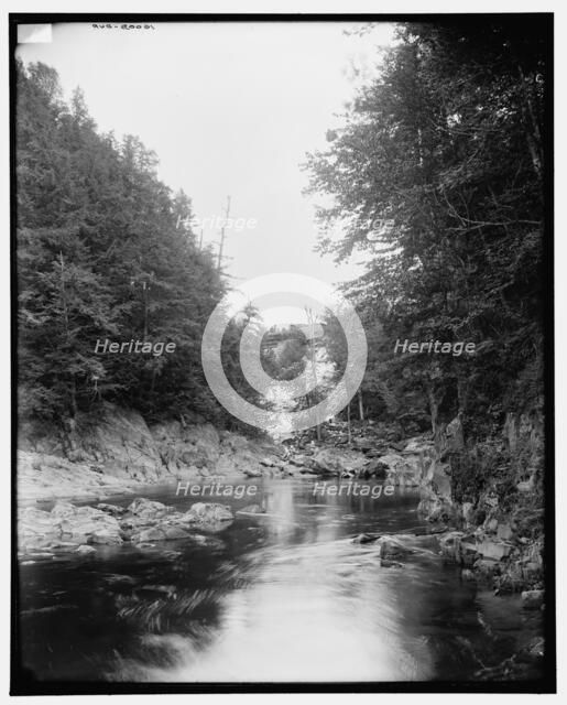 Connecticut River Valley, Vt., in Brockway gorge, between 1900 and 1906. Creator: Unknown.