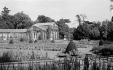 Conservatory at Syon House, Isleworth, London, c1945-1965. Artist: SW Rawlings