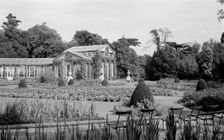 Conservatory at Syon House, Isleworth, London, c1945-1965. Artist: SW Rawlings