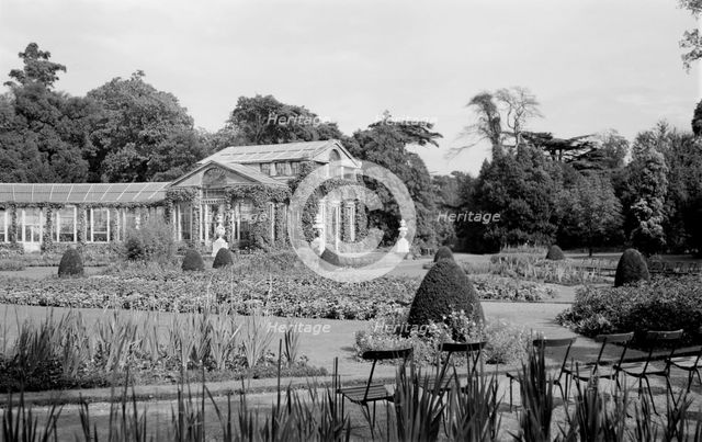 Conservatory at Syon House, Isleworth, London, c1945-1965. Artist: SW Rawlings