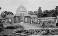 Conservatory at Syon House, Isleworth, London, c1945-c1965. Artist: SW Rawlings