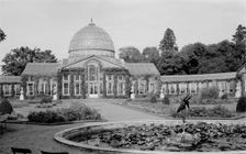 Conservatory at Syon House, Isleworth, London, c1945-c1965. Artist: SW Rawlings