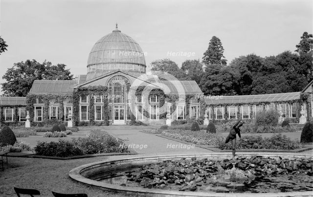 Conservatory at Syon House, Isleworth, London, c1945-c1965. Artist: SW Rawlings