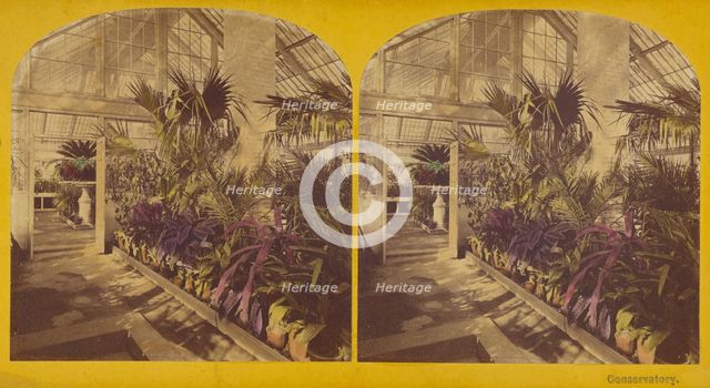 Conservatory. The President's House, Washington, D.C., 1873. Creators: C. Seaver, Jr., Charles Pollock.