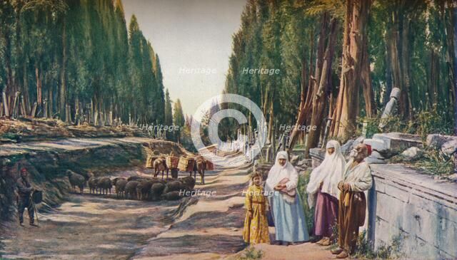 'Constantinople', c1930s. Artist: ENA.