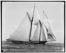 Constellation, 1891 Aug 8. Creator: Unknown