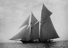 Constellation, 1892 Aug 6. Creator: John S Johnston