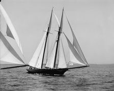 Constellation, 1900 Aug 10. Creator: Unknown