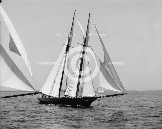 Constellation, 1900 Aug 10. Creator: Unknown.