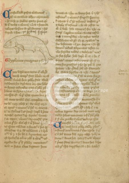Constellation; Astronomical and Medical Miscellany, late 14th century, shortly after 1386. Creator: Unknown.
