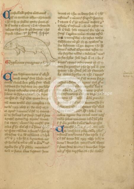 Constellation; Astronomical and Medical Miscellany, late 14th century, shortly after 1386. Creator: Unknown.