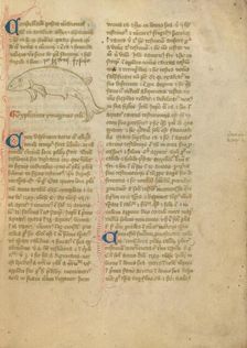 Constellation; Astronomical and Medical Miscellany, late 14th century, shortly after 1386. Creator: Unknown